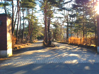 南軽井沢 LAKE RESORTS 八風の郷 売地